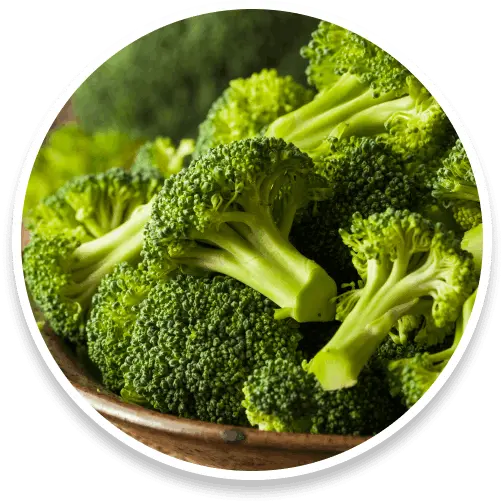 sumatra-slim-belly-tonic-ingredients-2