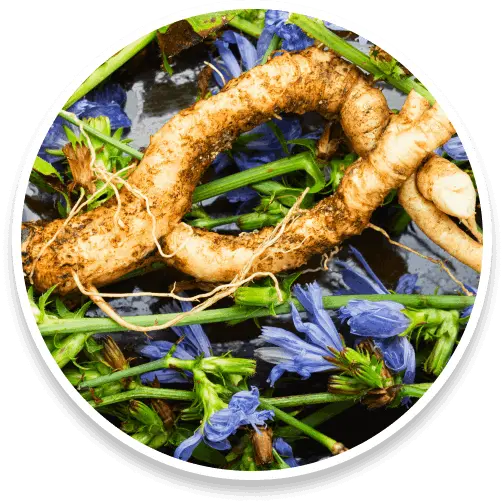 sumatra-slim-belly-tonic-ingredients-7